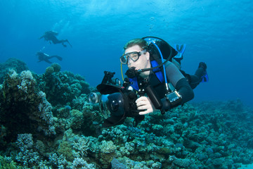 Naklejka na ściany i meble underwater photographer