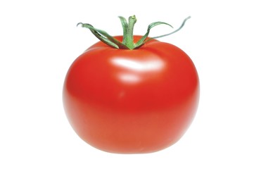 Tomate freigestellt