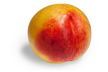nectarine