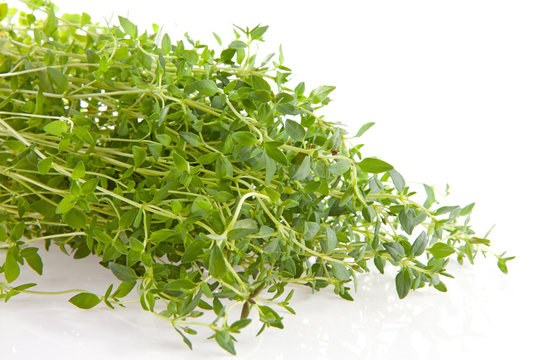 fresh thyme herb in closeup over white background