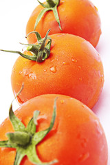 tomatoes isolated on white background