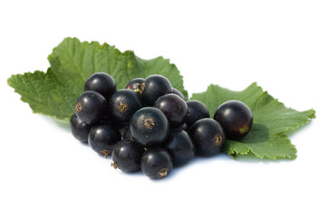 black currant isolated on white background