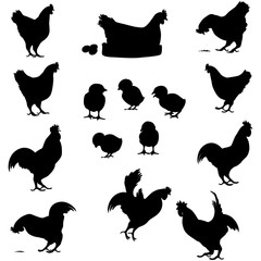 coq poule et poussin silhouette pack © tbob j. affelwoolf