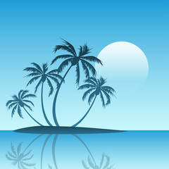 Fototapeta na wymiar A Tropical Island Landscape with Palm Trees
