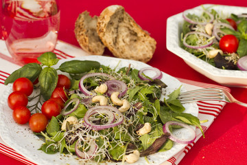 Summer Salad