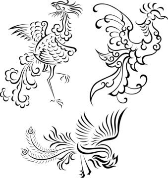 bird symbol design