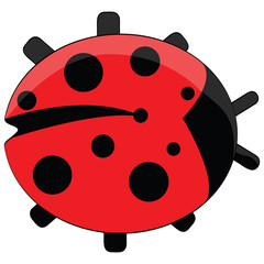 Ladybug