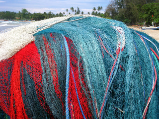 Network for fish
