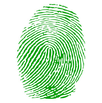 Green fingerprint vector