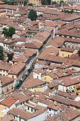 cremona