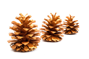 gold cones