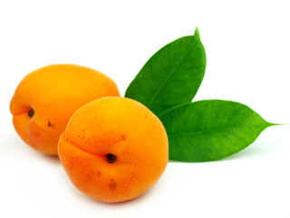Fresh apricots on white background