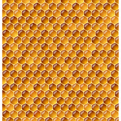 Honeycomb. Seamless illustration.