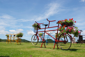 Fototapeta na wymiar Bicycles for the photographic memorial