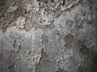 Grunge texture