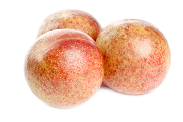 Pluots Fruits Isolated on White
