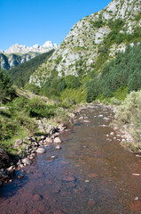 Fototapeta na wymiar Rzeka w Pirenejach