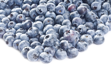 Blueberries Isolated on White