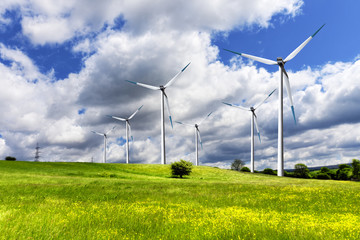 Wind turbines and green field