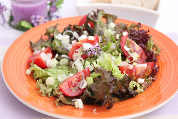 Frischer Salat