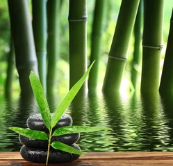 Peel and stick wall murals Bamboo Spa still life