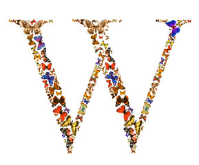 Butterfly letter