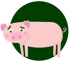 Amusing pig. A vector illustration