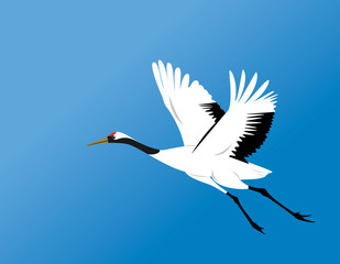 red-crowned crane fly vector