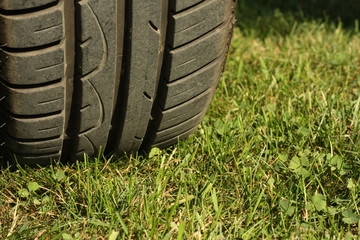 Fototapeta na wymiar Tire on green grass.