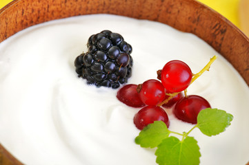 Yogurt with fruits