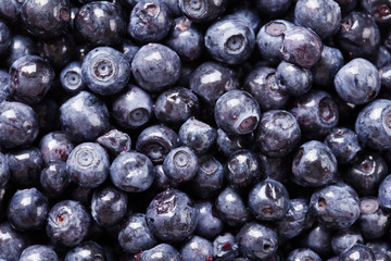 fresh blueberries