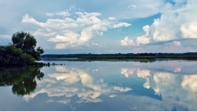 Im Naturschutzgebiet