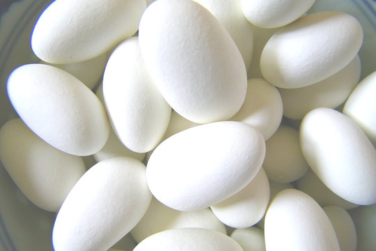Drag&eacute;es blanches 2