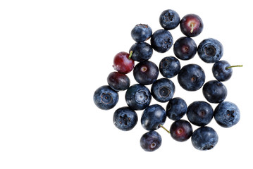 isolated blueberries
