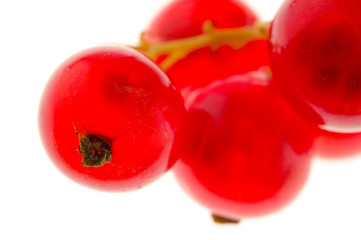 Johannisbeeren
