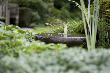 Small fountain