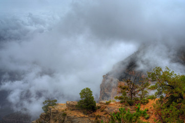 Grand Canyon Fog