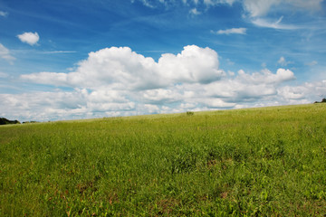 Obraz premium Beautiful summer landscape (HDR image)