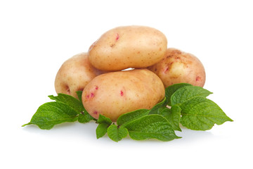 Heap of ripe potatoes vegetable with green leafs