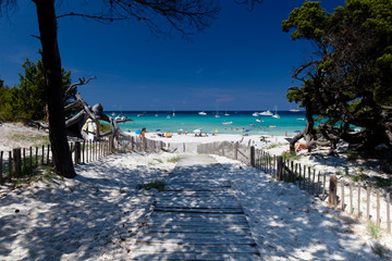 Plage de Saleccia en Haute Corse