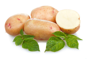 Heap of ripe potatoes vegetable with green leafs