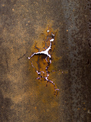 Rusty