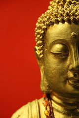 Buddha im Profil