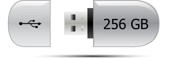 USB flash memory drive 256GB