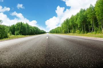 Fototapeta premium road in forest