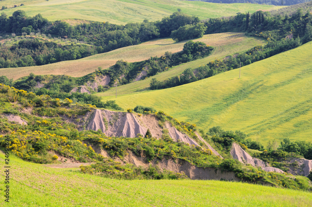 Sticker crete senesi 04