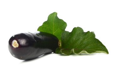 egg-plant and leaf
