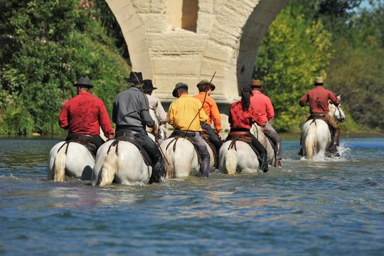gardians traversant une rivi&egrave;re