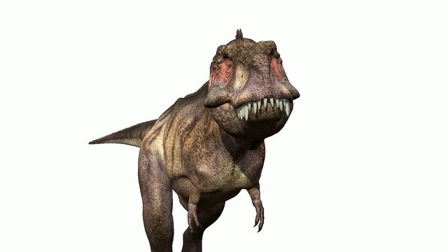 Tyrannosaurus rex the fast bite