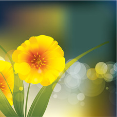 Vector Flower Background - 24959469